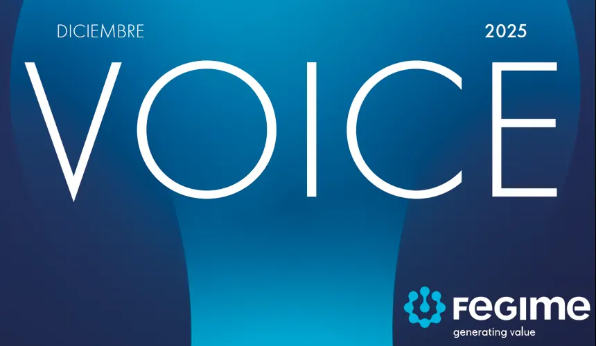Revista FEGIME Voice Edición Internacional 